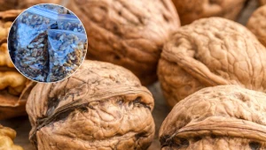 Moja mama przechowuje tak orzechy włoskie. Są idealnie świeże przez lata