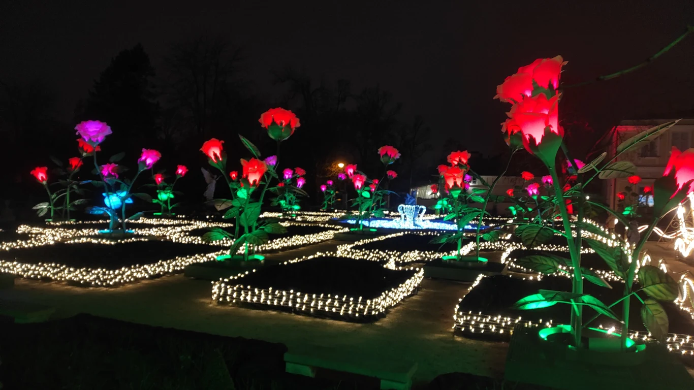 Wygląd ogrodu w zeszłym roku.