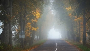 Na wschodzie wieczorem i w nocy mogą panować gęste mgły, przed którymi ostrzega IMGW. Alerty mogą też rozciągnąć się na kolejne regiony