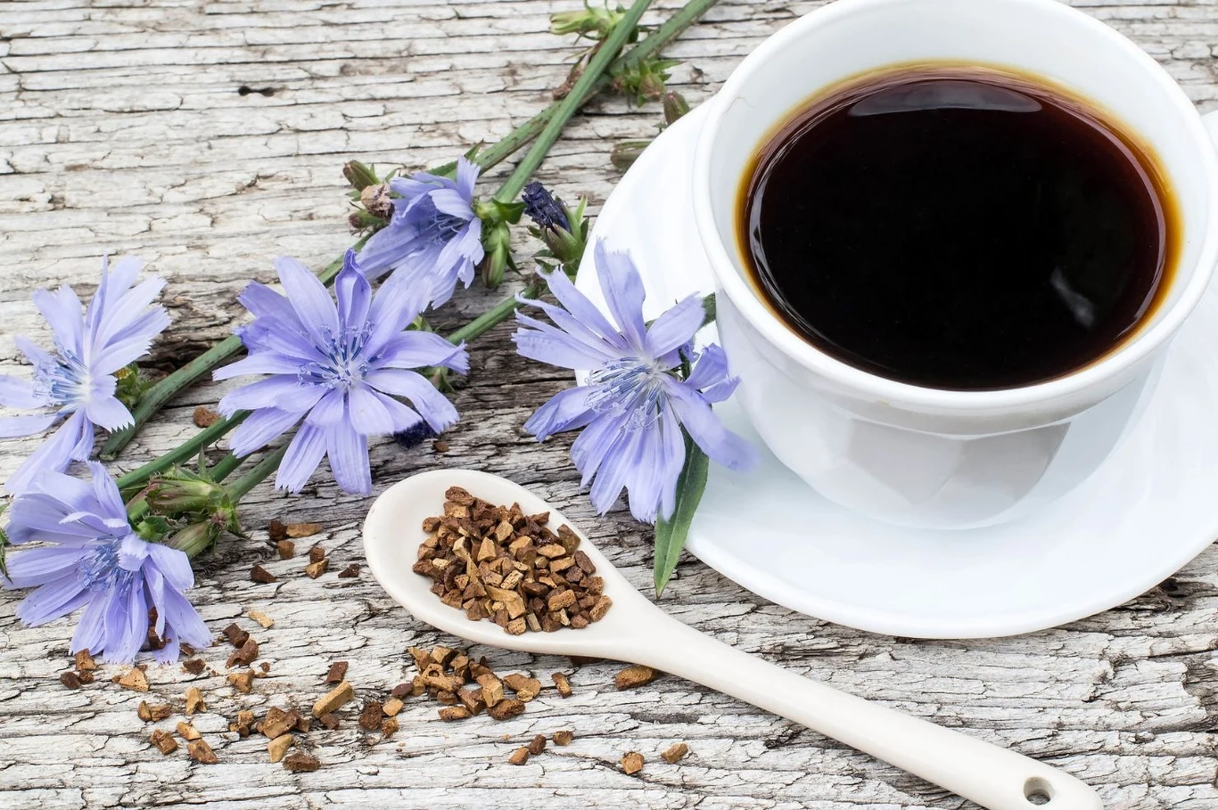 Kawa z cykorii może być świetnym zamiennikiem dla klasycznej kawy Kawa z cykorii może być świetnym zamiennikiem dla klasycznej kawy