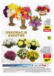 Najlepsze oferty sezonu - Carrefour Market