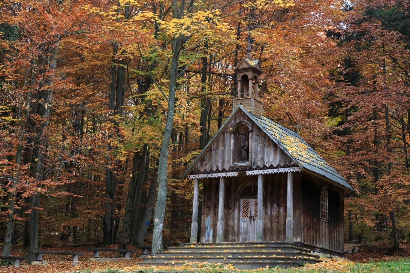 Podczas wędrówek Głównym Szlakiem Świętokrzyskim można podziwiać wiele wyjątkowych miejsc i zabytków. 