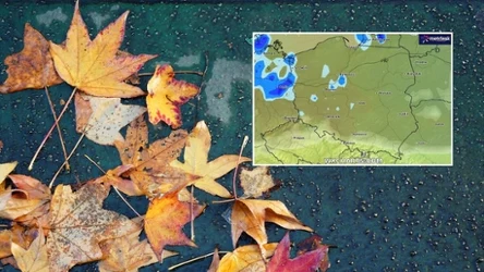 Aura w poniedziałek będzie bardziej pochmurna i mokra niż w poprzednich dniach. Deszcze będą jednak dosyć słabe