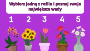 Psychotest: Wybierz roślinę w doniczce i sprawdź, jakie są twoje najgorsze wady