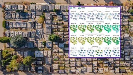 Wszystkich Świętych 2024 będzie deszczowym i wietrznym dniem - prognozuje IMGW. 1 listopada oraz w Zaduszki nad morzem porywy wiatru mogą osiągać prawie 100 km/h