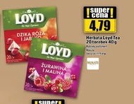 Фруктовий чай Loyd