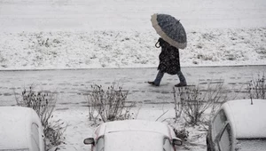 Zima może być cieplejsza i mniej śnieżna niż zwykle - prognozują synoptycy z SWE. Jednak zjawisko La Niña oraz działanie wiru polarnego mogą sprawić, że pogoda zaprzeczy obecnym prognozom