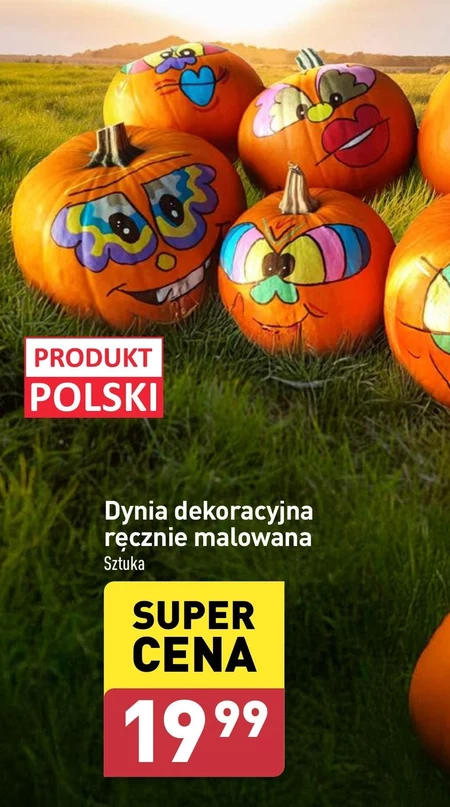 Dynia Polski