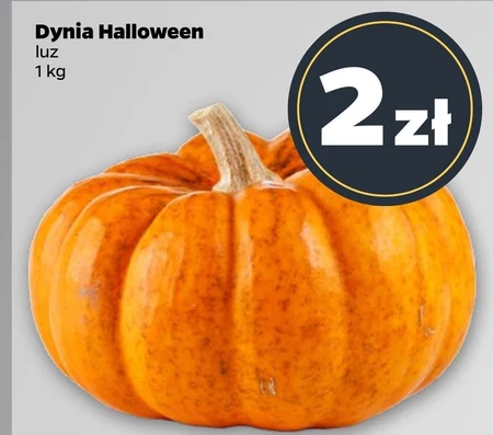 Dynia Halloween