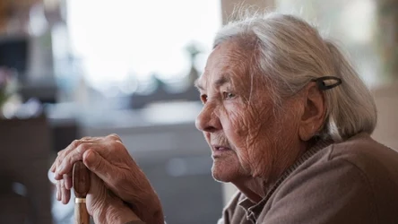 Kogo dotyczą najnowsze zmiany?