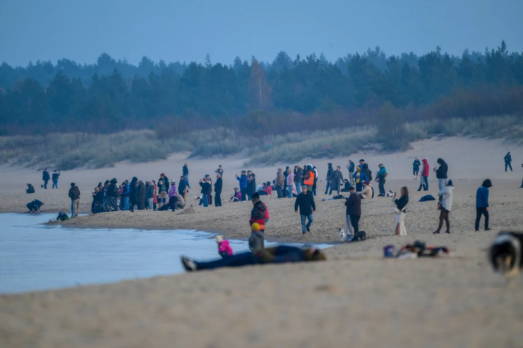 Mieszkańcy Gdańska mieli okazję obserwować widowiskowy moment wpłynięcia gigantycznych suwnic STS z okolic plaży na Stogach