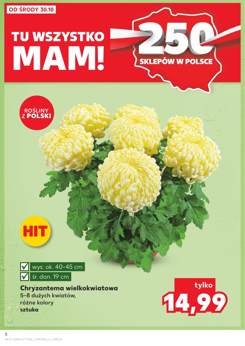 Gazetka: Znakomita świeżość i smak! - Kaufland - strona 8