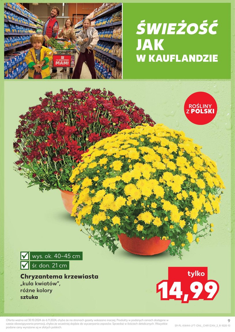 Gazetka: Znakomita świeżość i smak! - Kaufland - strona 9