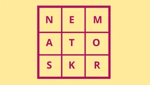 Ile wyrazów ułożysz z tych liter? Przetestuj swój umysł