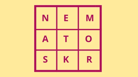 Ile wyrazów ułożysz z podanych liter? Zagadka, która sprawdzi twoją spostrzegawczość. 