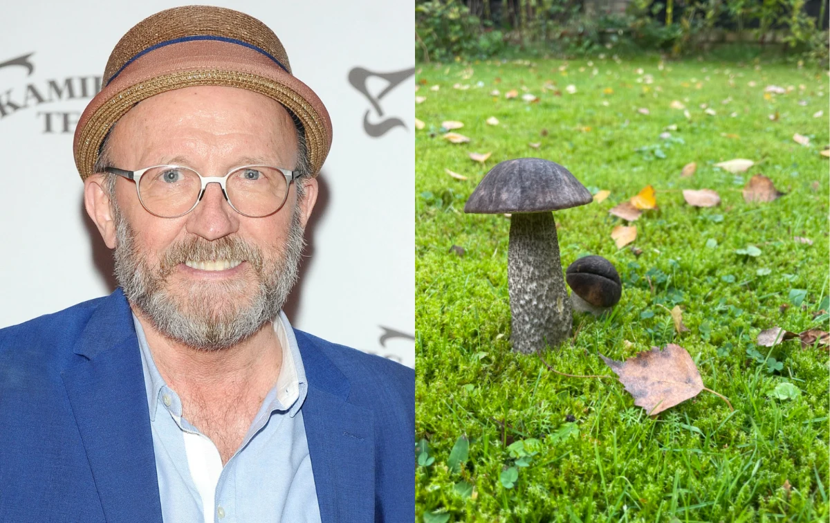 Artur Barciś pochwalił się grzybami Artur Barciś pochwalił się grzybami