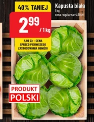 Kapusta biała Polski