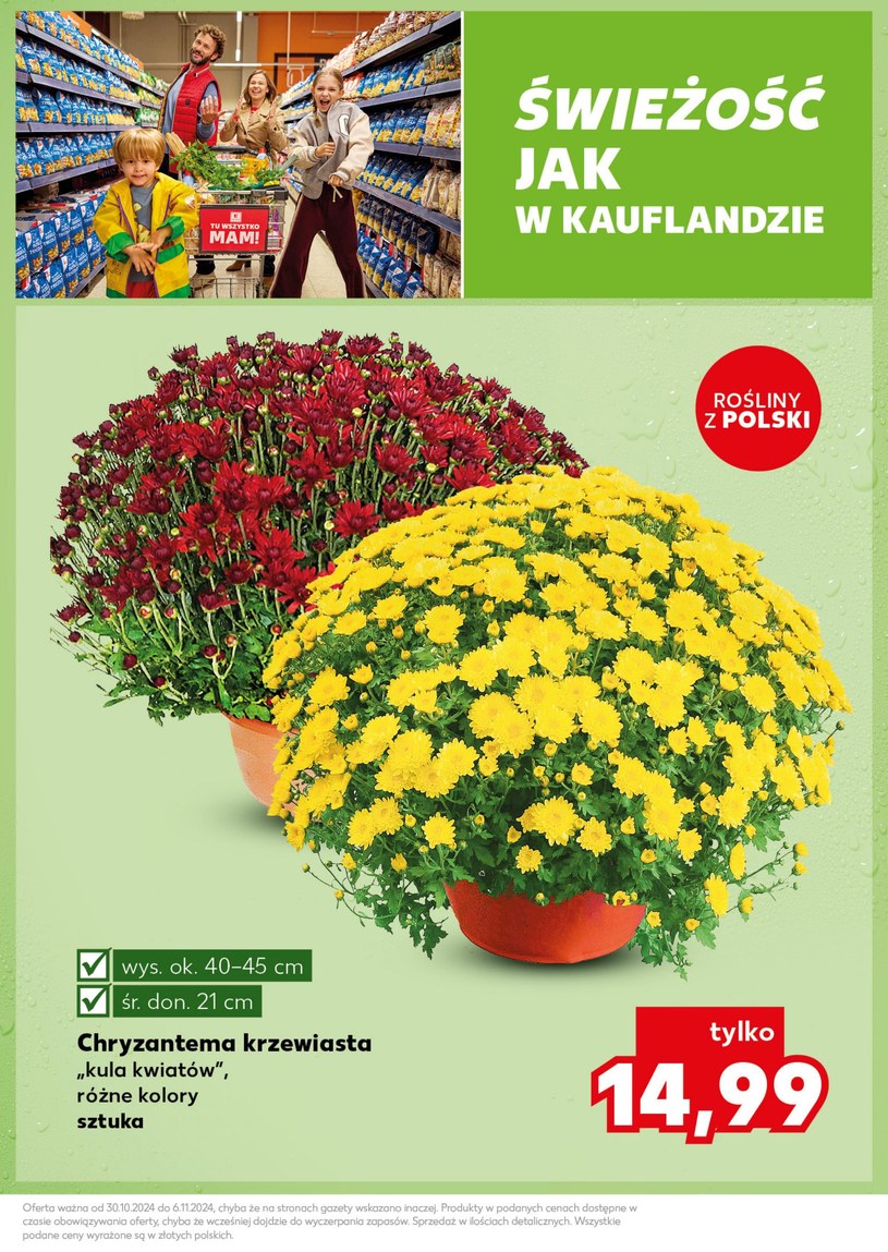 Gazetka: Mocny Start - Kaufland - strona 7