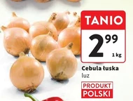 Цибуля Polski