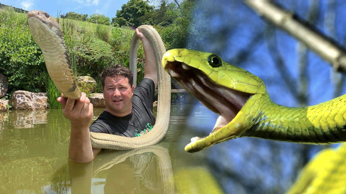 Youtuber Dingo Dinkelman zginął od ukąszenia mamby