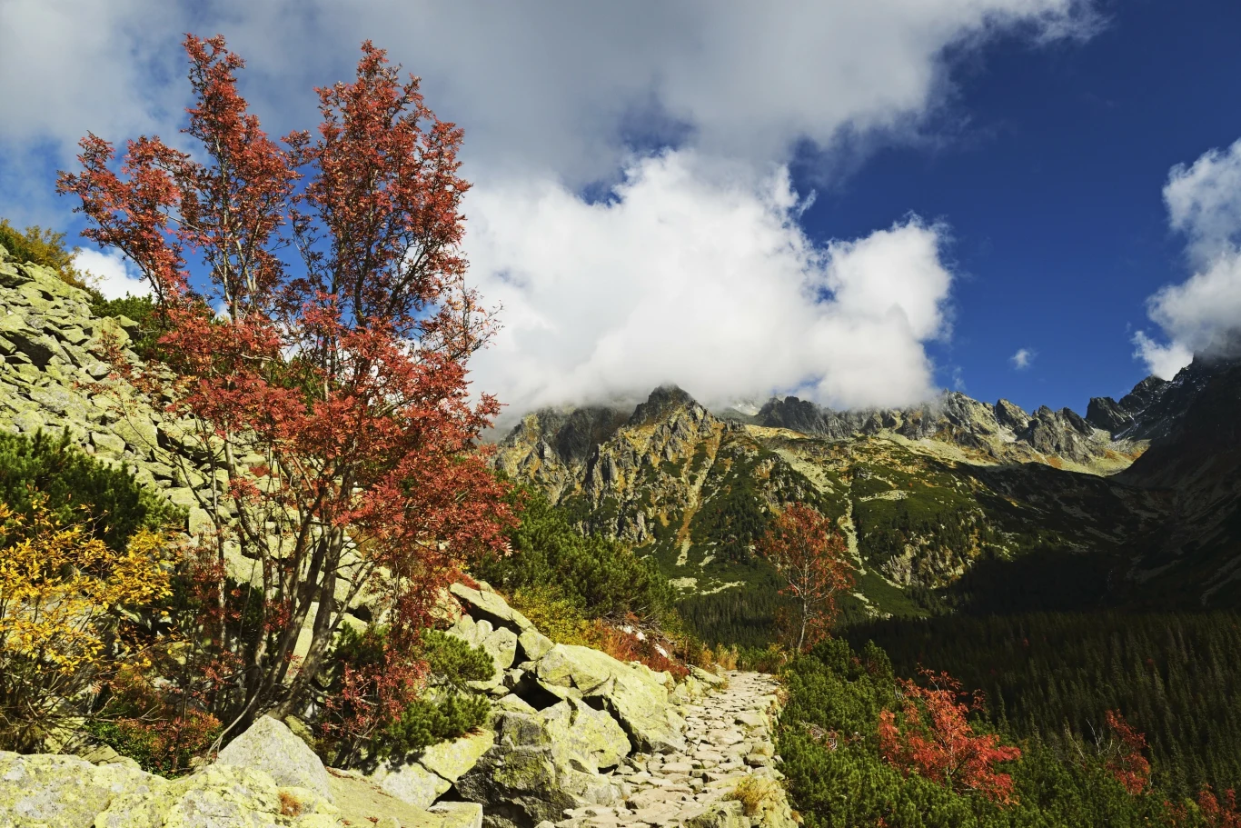Szczyrbskie Pleso oferuje wyjątkowe widoki na tatrzańskie szczyty. 