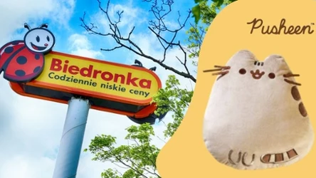 Gadżety Pusheen w Biedronce! 