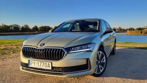 Skoda Superb 1.5 TSI mHEV jest jak VW Passat, którego nie ma. 