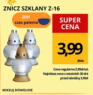 Znicz