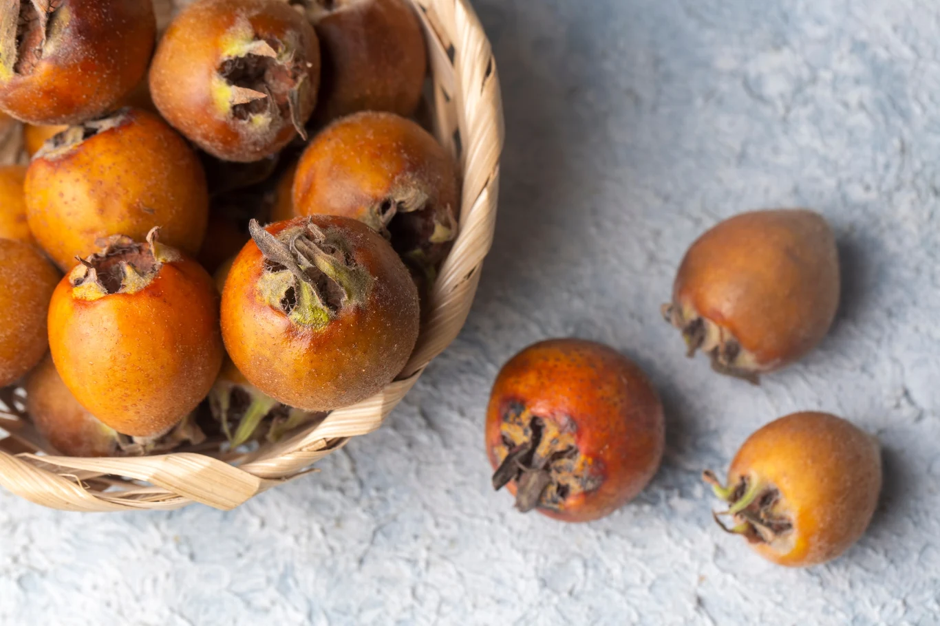 Nieszpułka to owoc o wyjątkowych właściwościach. Ceniony był przez nasze babcie, ale dzisiaj mało kto o nim pamięta.