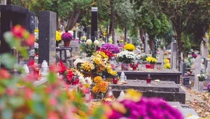 Jakie kwiaty na cmentarz? To nie tylko chryzantemy