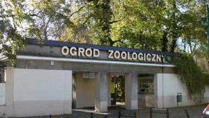 To koniec jednego z najstarszych zoo w Polsce. Straciło swój sens