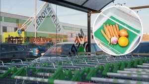 Leroy Merlin wycofał produkt ze sprzedaży. Wydano ostrzeżenie 
