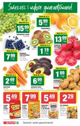 Mistrzowskie super oferty! - SPAR