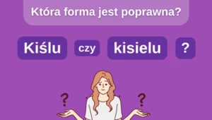 Test z języka polskiego: Która forma jest poprawna? Wielu rodaków podaje złą odpowiedź