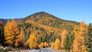 Magia kolorów i niezapomniany road trip. Odkryj Polskę na jesień