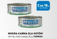 Karma dla kota Vet Life