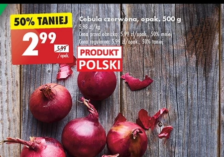 Cebula czerwona Polski