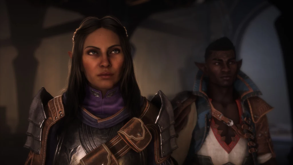 Dragon Age: Straż Zasłony Dragon Age: Straż Zasłony