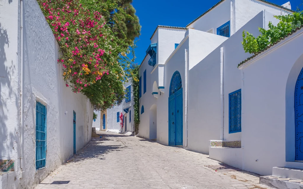 Sidi Bou Saïd