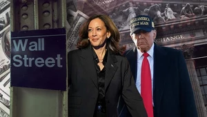 "Gospodarka, głupcze!" Rynkowe skutki wyborów w USA odczuje Polska i świat