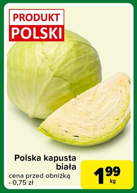 Kapusta biała