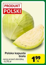 Kapusta biała