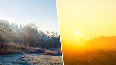 W wielu miejscach kraju rano i wieczorem panować będą gęste mgły. W ciągu dnia spokojną pogodę zapewni nam wyż Zayyan