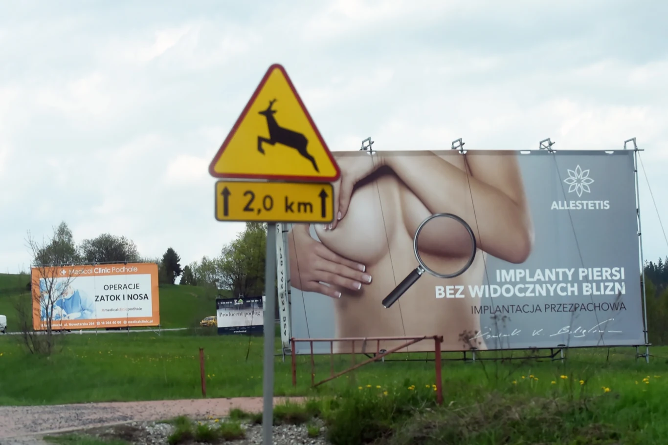 „Implanty piersi”, „producent podłóg”, „operacje nosa” – to tylko niektóre z bilbordów, które od lat szpecą Zakopiankę. „Implanty piersi”, „producent podłóg”, „operacje nosa” – to tylko niektóre z bilbordów, które od lat szpecą Zakopiankę.