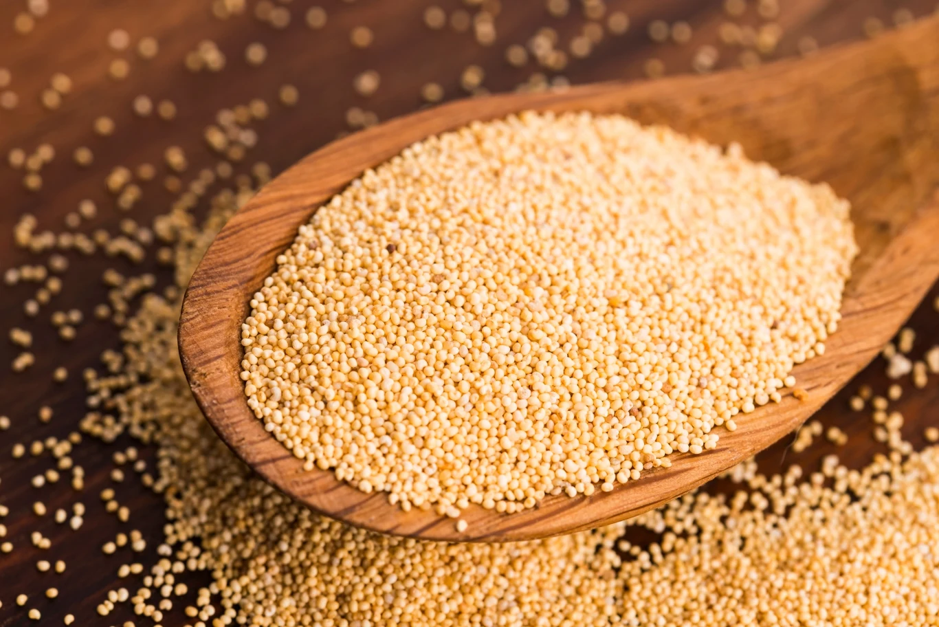 Dobrej jakości biały mak to podstawa nadzienia najlepszych rogali świętomarcińskich. Dobrej jakości biały mak to podstawa nadzienia najlepszych rogali świętomarcińskich.