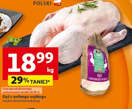 Gęś tuszka Polski