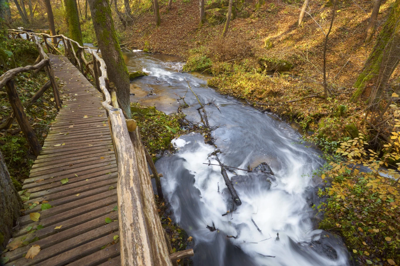 Roztocze Środkowe, zdj. ilustracyjne Roztocze Środkowe, zdj. ilustracyjne