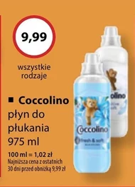 Płyn do płukania Coccolino