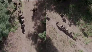 Ekspert wskazuje, że operacja w obwodzie kurskim powinna się zakończyć