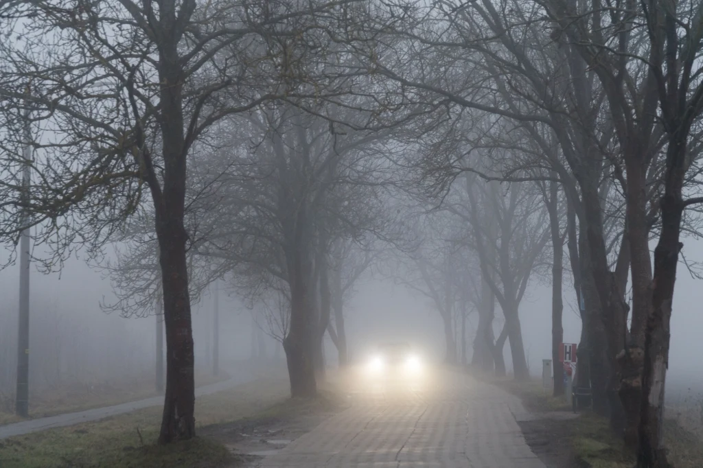 Gęste mgły od rana występują przede wszystkim w południowej i wschodniej części Polski. Miejscami utrzymają się przez kolejne godziny Gęste mgły od rana występują przede wszystkim w południowej i wschodniej części Polski. Miejscami utrzymają się przez kolejne godziny